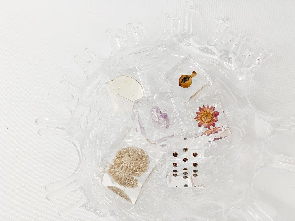 Appreciating Our Loved Ones - Valentine's Day Staff Picks - tortoise general store