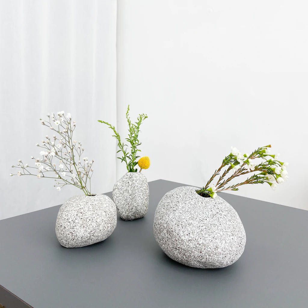 Feeling Optimistic - Tortoise Welcomes Spring 2021! - tortoise general store