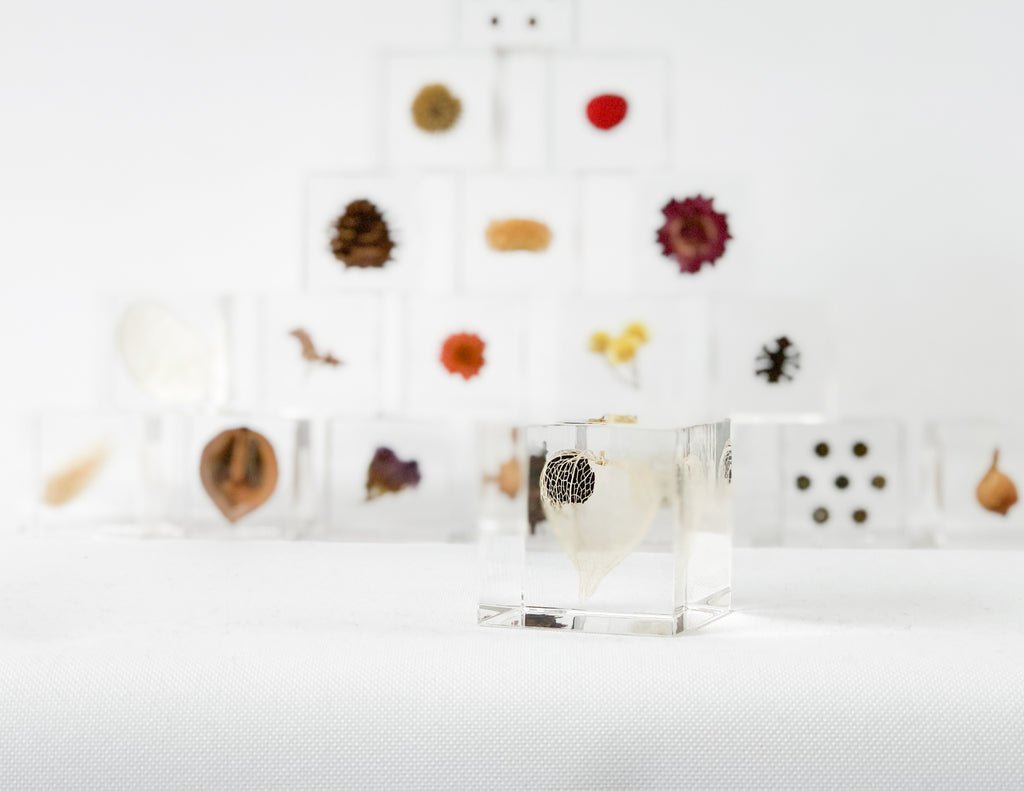 Seeing the Invisible: Sola Cube Creation! (07.14.2020) - tortoise general store