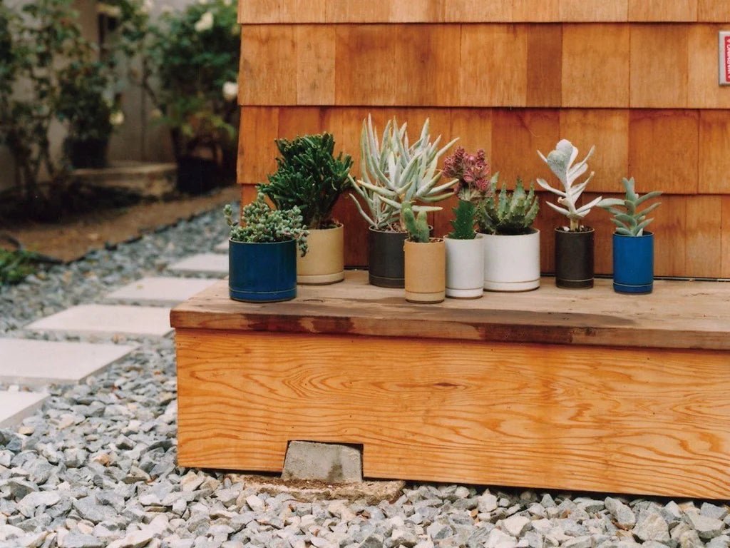 Tortoise Staff Picks: Gardening while Safer at Home - tortoise general store