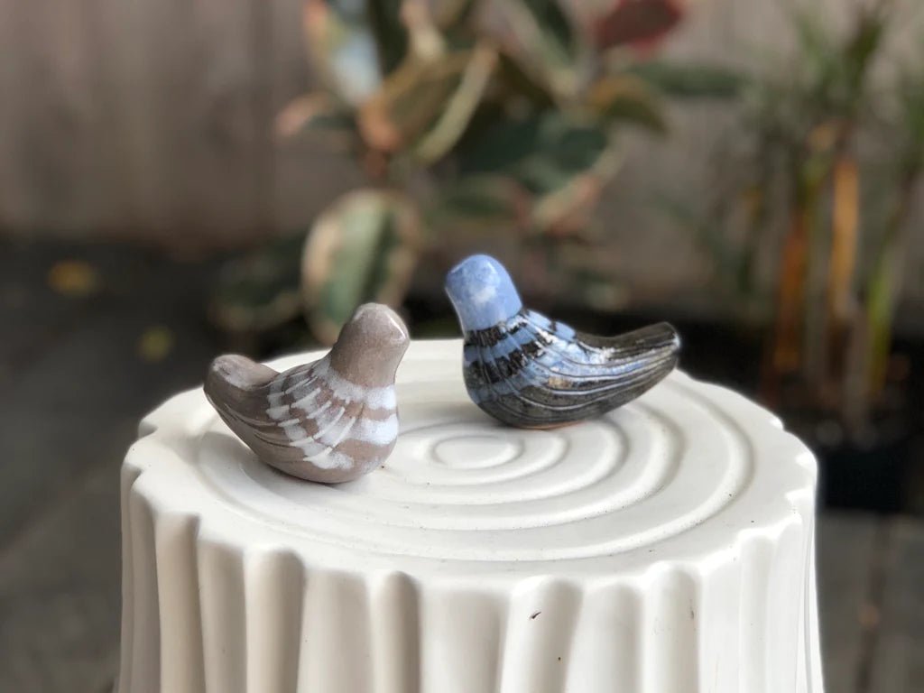 Tortoise Staff's Animal Favorites - A Round-Up! - tortoise general store