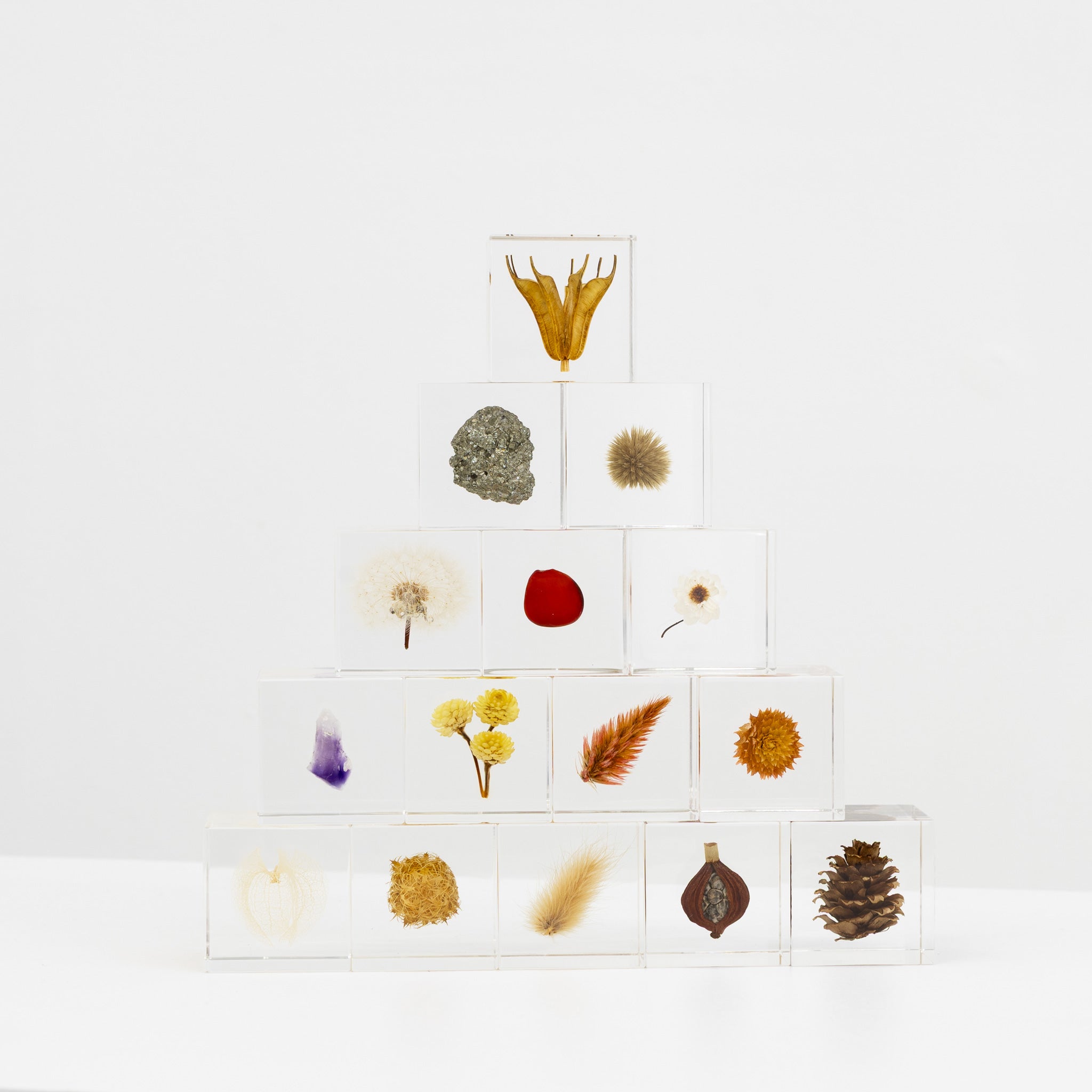 Sola Cube Collection – tortoise general store