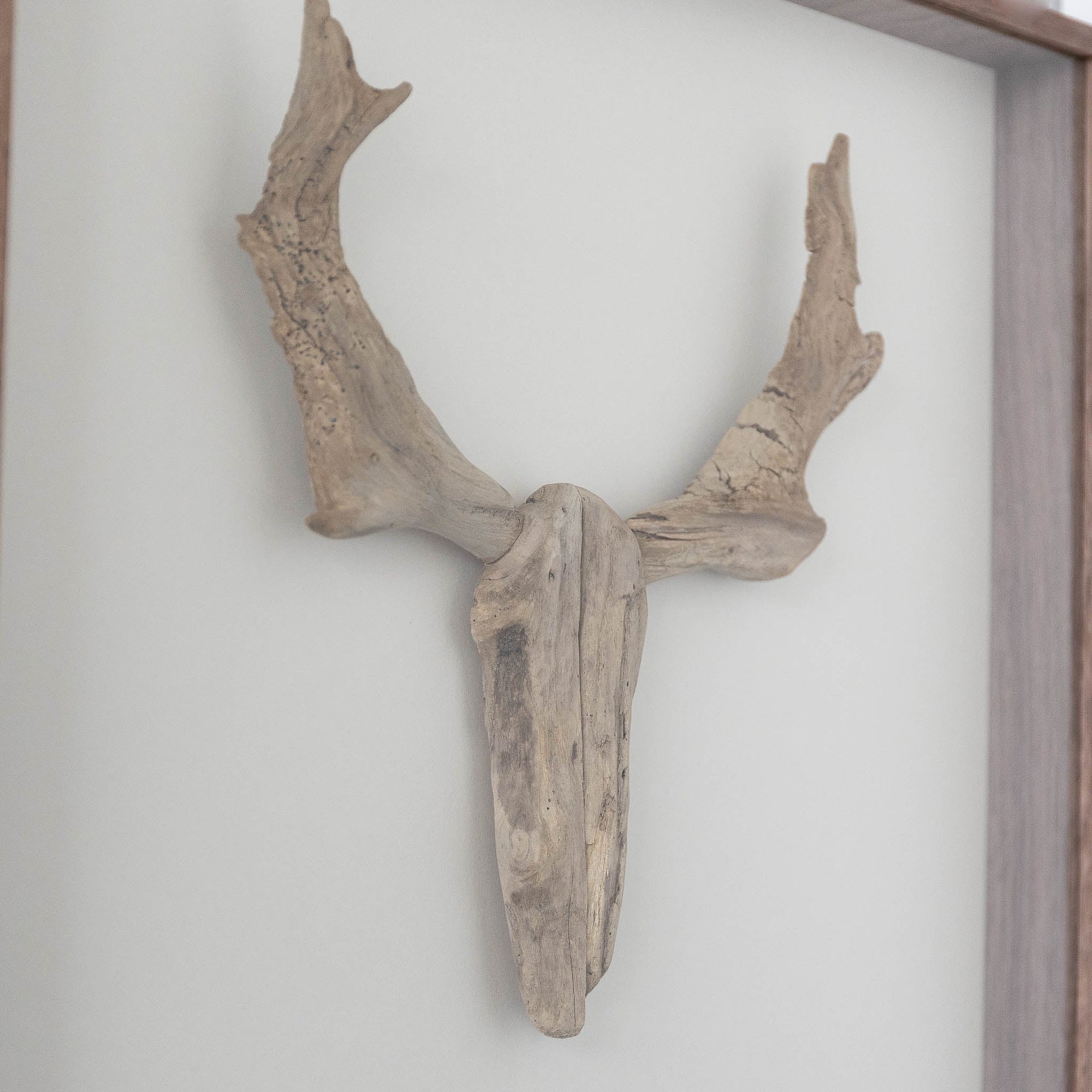 #18 - Driftwood Hunting Trophy #4 (All Around You, 2024) by Mitsuru Koga | Tortoise General Store