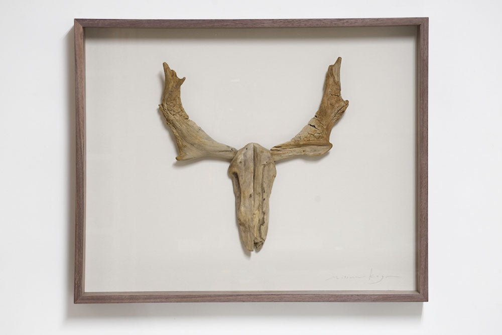 #18 - Driftwood Hunting Trophy #4 (All Around You, 2024) by Mitsuru Koga | Tortoise General Store