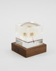 Sola Cube Walnut Light Base | tortoise general store