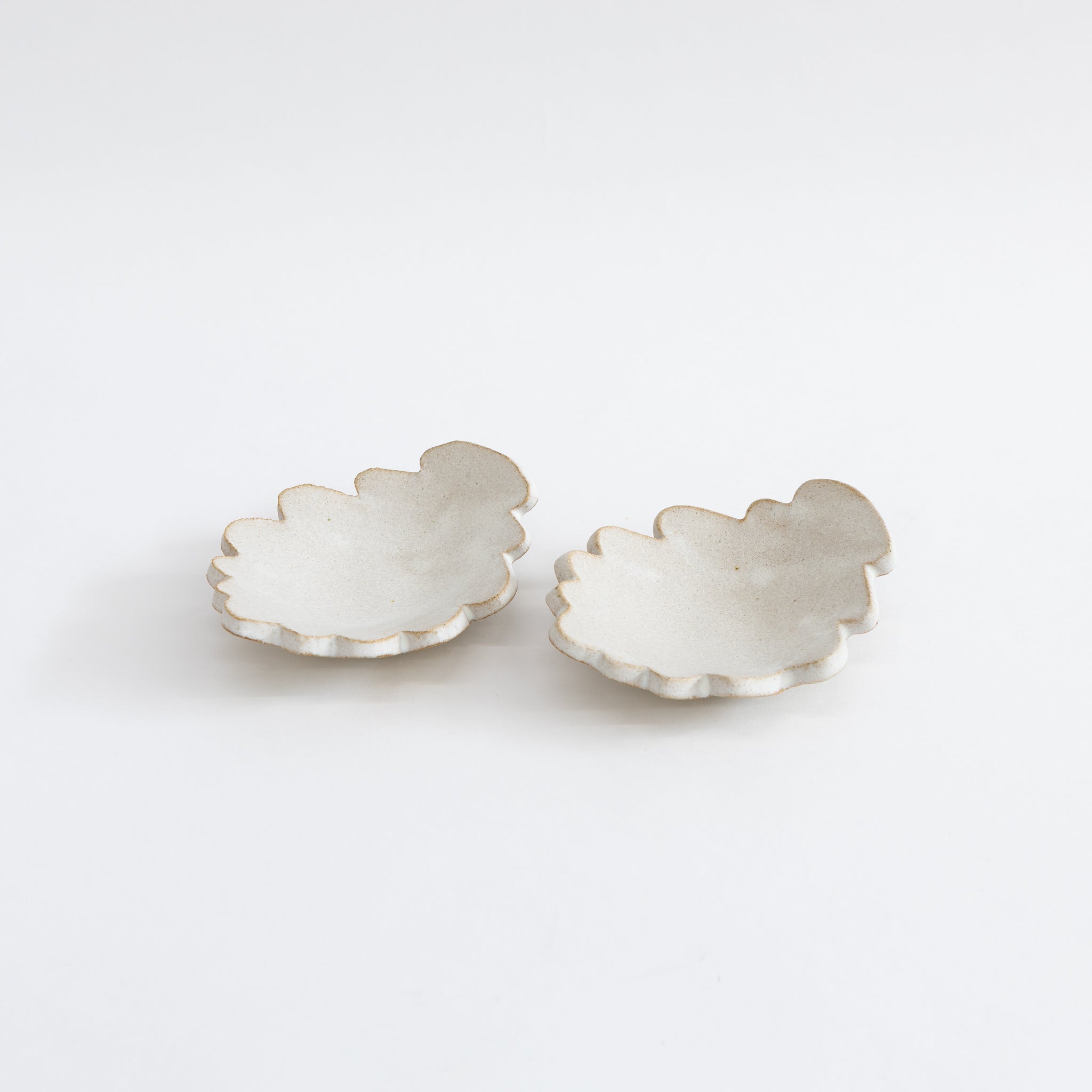 食器 immer flow Ghost Plate Tomoro Fog Plate | Tortoise General Store