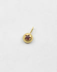 Black Barc 'A Star Charm