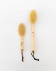 Hinoki Handle Hog Hair Body Brush | Tortoise General Store