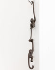 Iron Monkey Hooks | Tortoise General Store