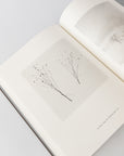 Japan: A Love Story by Michael Kenna | Tortoise General Store