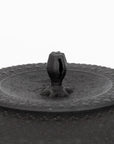 Kamasada Iron Kettles | Tortoise General Store