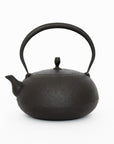 Kamasada Iron Kettles | Tortoise General Store