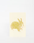 MISUZUDO Post Cards | Tortoise General Store