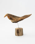 Osamu Harihara Driftwood Birds | Tortoise General Store