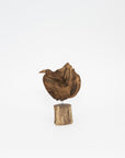Osamu Harihara Driftwood Birds | Tortoise General Store