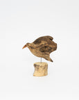 Osamu Harihara Driftwood Birds | Tortoise General Store