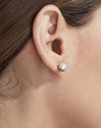 Shihara Half Pearl Earring 45° | Tortoise General Store