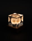 Sola Cube Walnut Light Base | Tortoise General Store