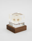 Sola Cube Walnut Light Base | Tortoise General Store