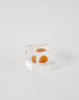 Sola Cubes - Seeds & Plants | Tortoise General Store