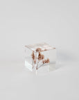 Sola Cubes - Seeds & Plants | Tortoise General Store