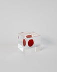 Sola Cubes - Seeds & Plants | Tortoise General Store
