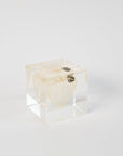 Sola Cubes - Seeds & Plants | Tortoise General Store