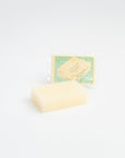 Sunsun Sponge | Tortoise General Store