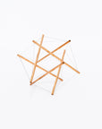 Tensegrity - 6 struts model | Tortoise General Store