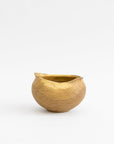 Wooden Bowl Sculpture by Kenji Usuda | Tortoise General Store
