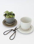 WRF Small Planter & Saucer Set | Tortoise General Store