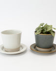 WRF Small Planter & Saucer Set | Tortoise General Store