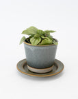 WRF Small Planter & Saucer Set | Tortoise General Store