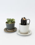 WRF Small Planter & Saucer Set | Tortoise General Store