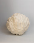 005 Chisato Yasui Ceramic Sculpture | Tortoise General Store