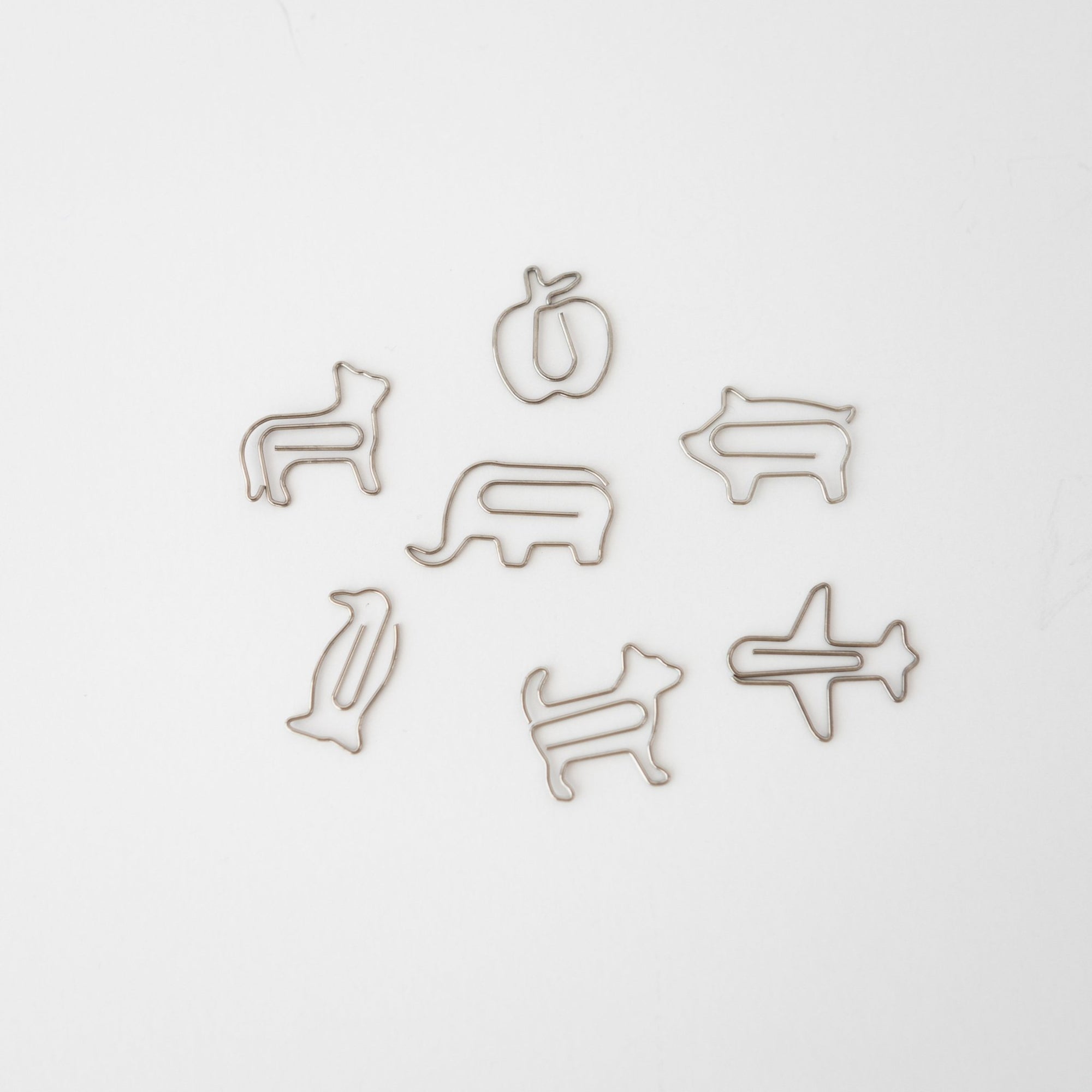 D- Clips Paperclips - tortoise general store