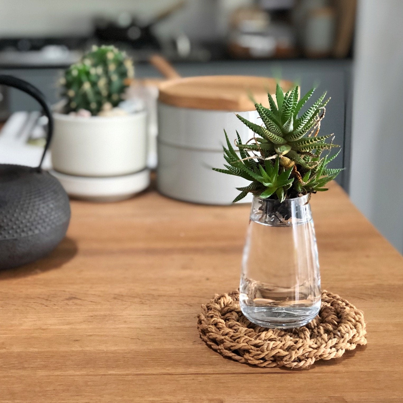 F/style Shina Bark Trivet - tortoise general store