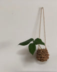 F/style Shina Flower Basket - tortoise general store