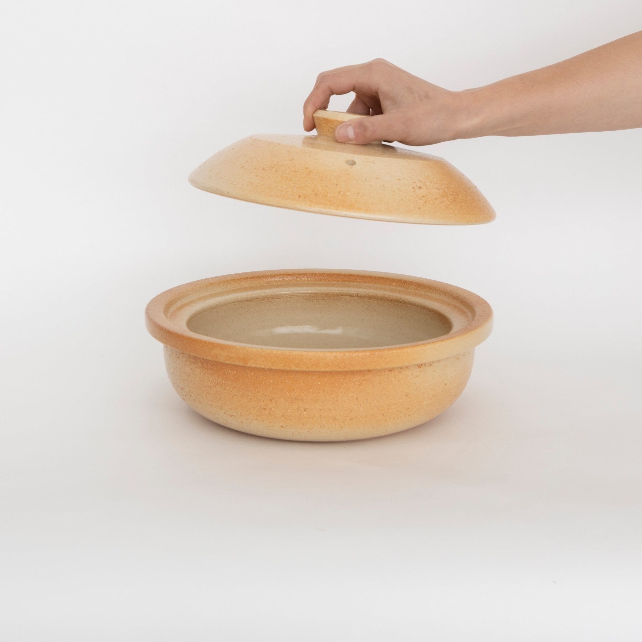 Earthen Donabe Clay Pot #CD9/P