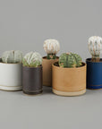 HPM045 - Planter Gloss Gray ø 5.5/8" - tortoise general store