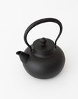Iron Nambu Tekki Kettle (TS422) - tortoise general store