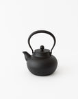 Iron Nambu Tekki Kettle (TS422) - tortoise general store