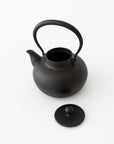 Iron Nambu Tekki Kettle (TS422) - tortoise general store