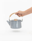 Kaico Tea Kettle - Gray | Tortoise General Store