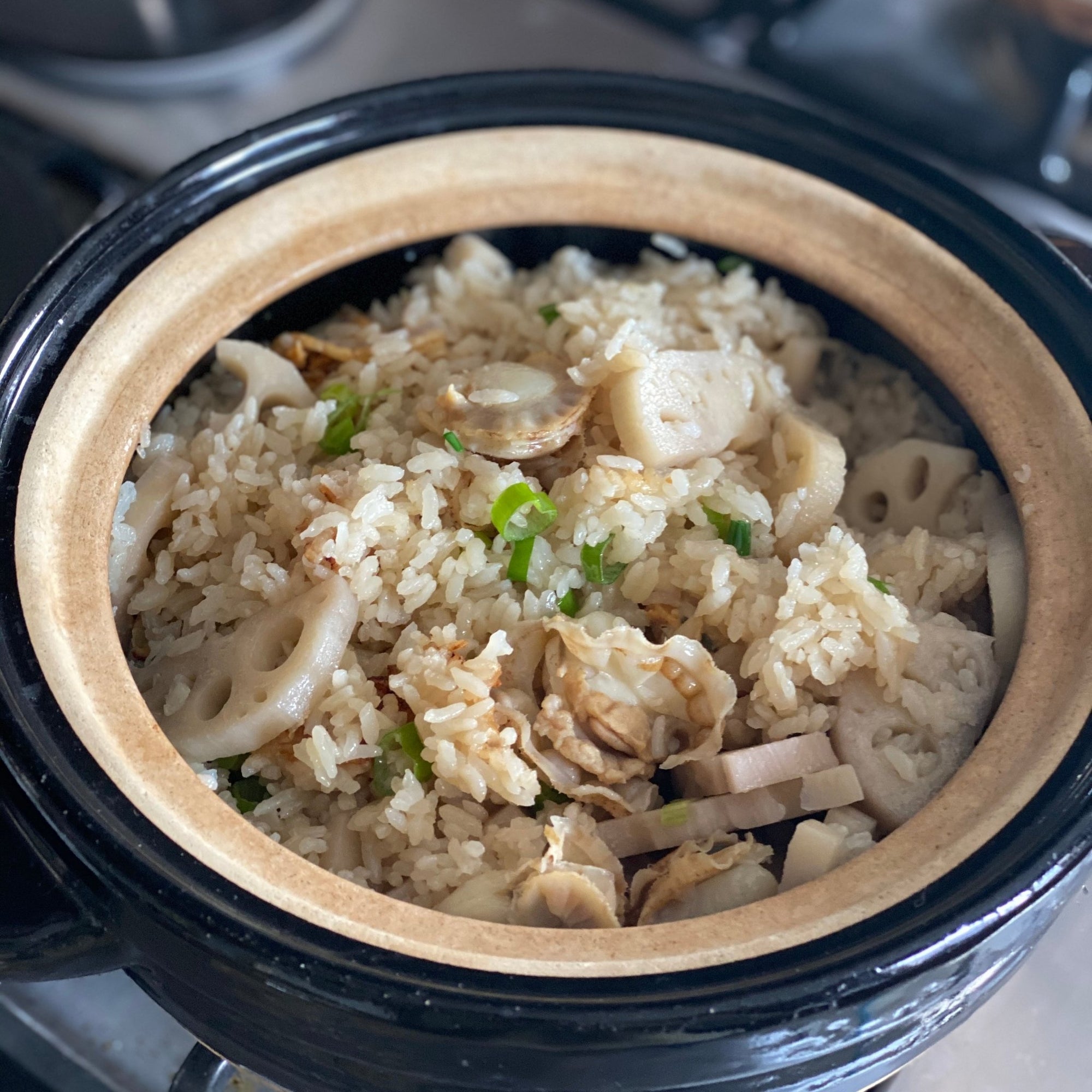 Kamado-san - Rice Cooker Donabe | Tortoise General Store