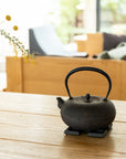 Kamasada Iron Kettles | Tortoise General Store