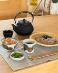 Miya Cast Iron Teacup - Arare | Tortoise General Store