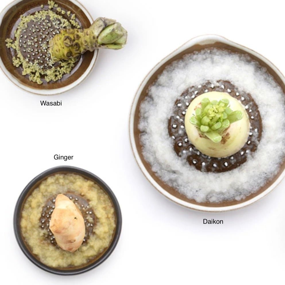 Motoshige Graters - White | Tortoise General Store