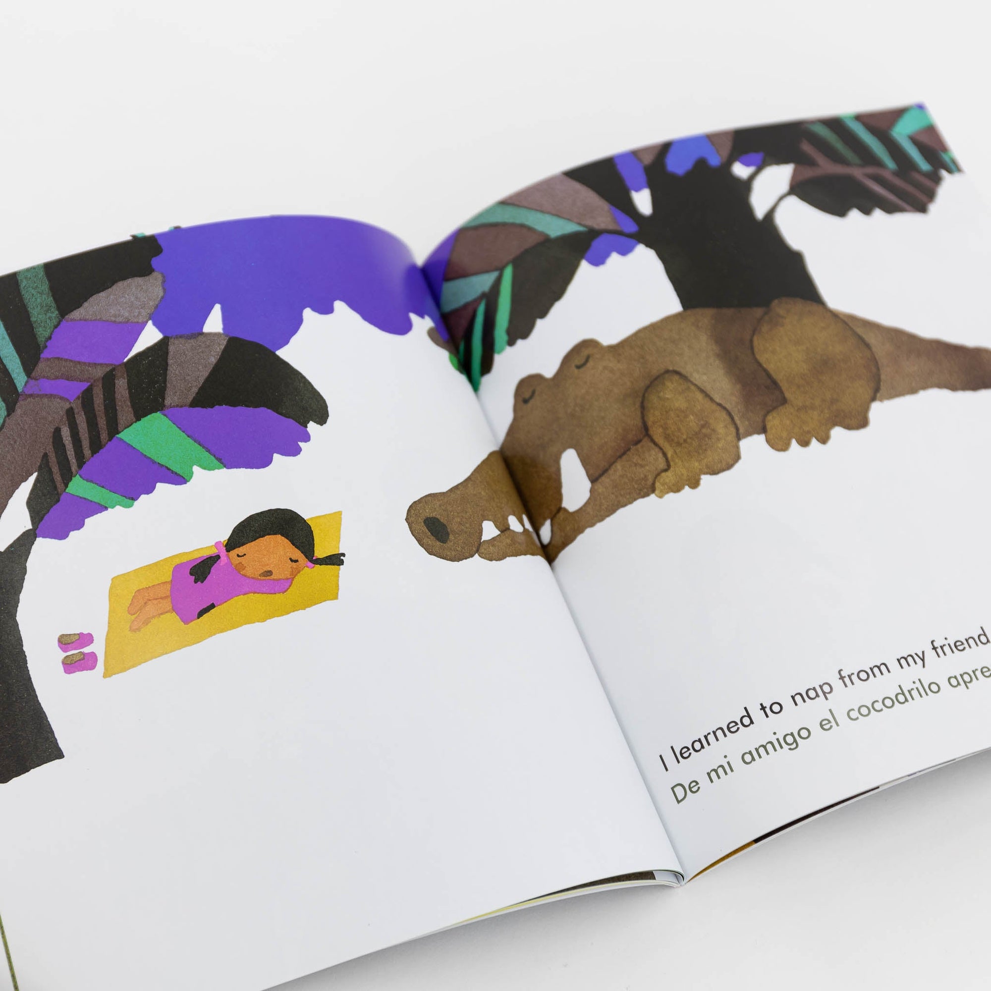 My Friends/Mis Amigos | Tortoise General Store