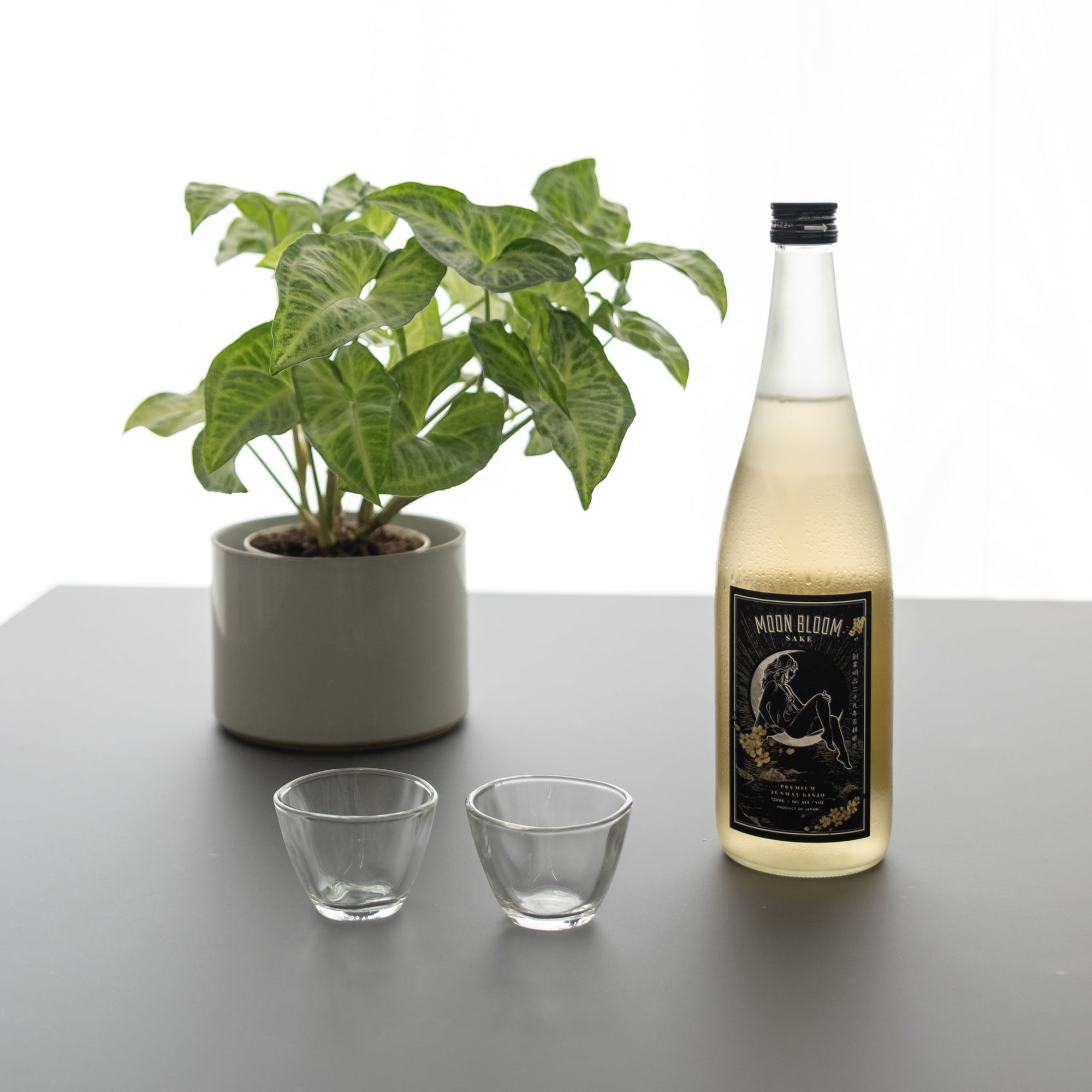 Sake Cup Glass Twist Ginjo | Tortoise General Store